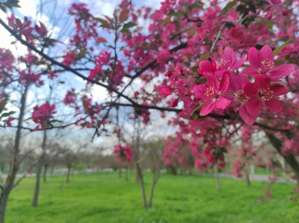 Prognoza meteo pana pe 5 mai Vremea de Paste si 1 Mai