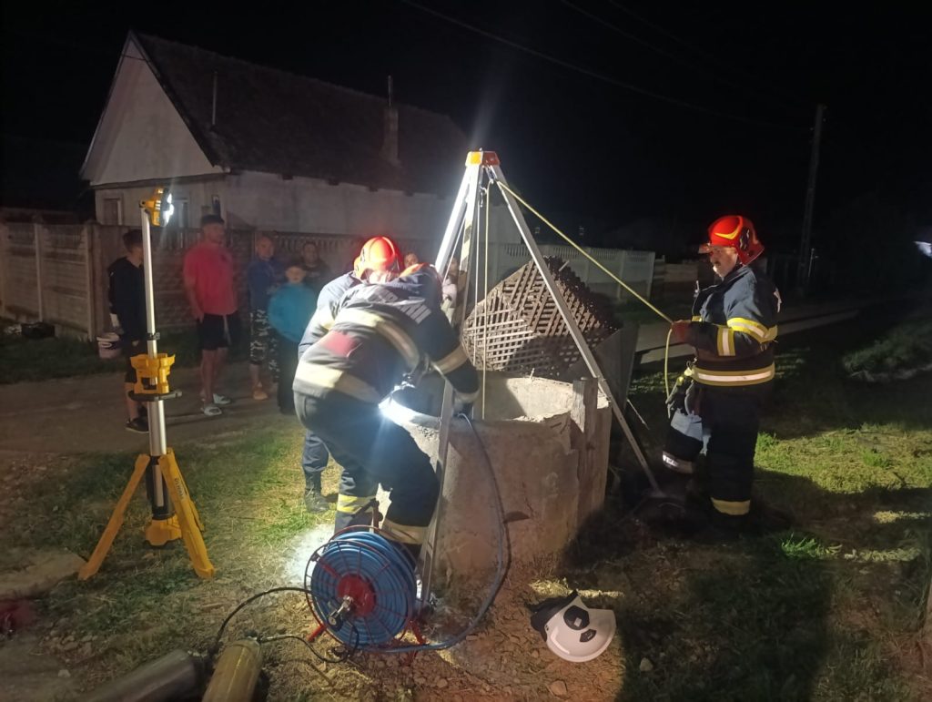 Doua pisici salvate de pompieri dintr o fantana adanca