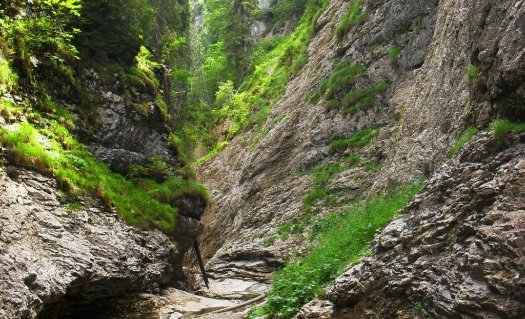 Interventie dificila pentru salvamontistii bihoreni turist ceh accidentat