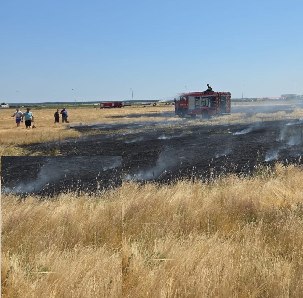Incendiu de vegetatie in Nojorid
