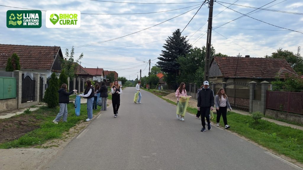 Luna curateniei in Bihor editia a V a sa incheiat