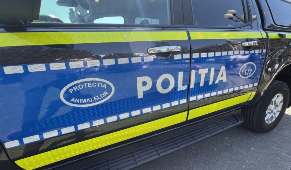 Femeie retinuta pentru uciderea a trei pui de caine