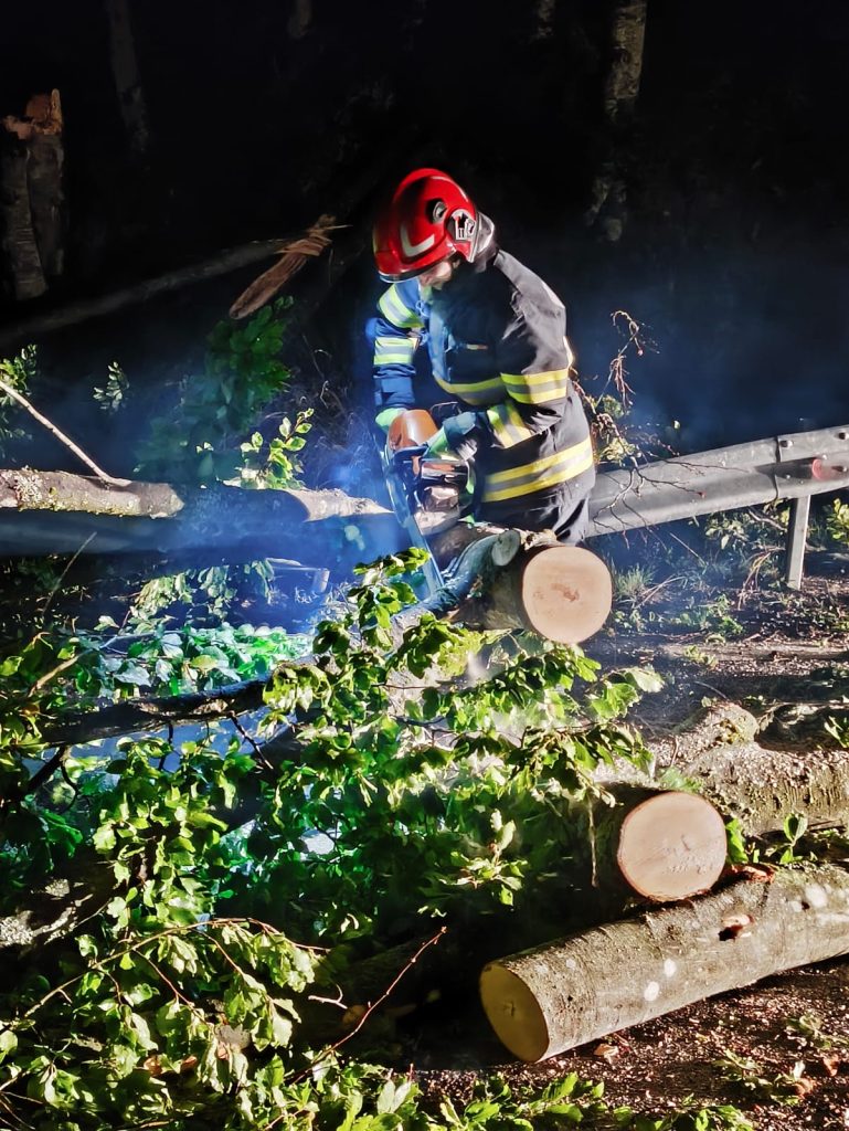 Furtuna in Bihor Copaci prabusiti si mii fara curent
