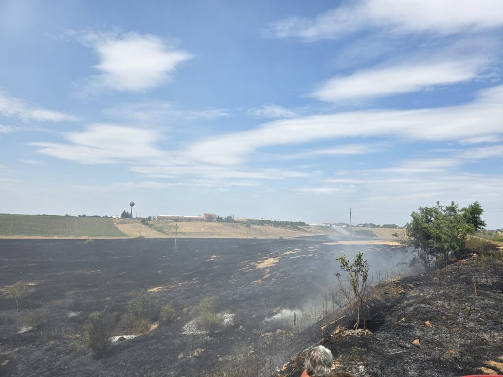 incendiu de vegetatie pe hectare in les