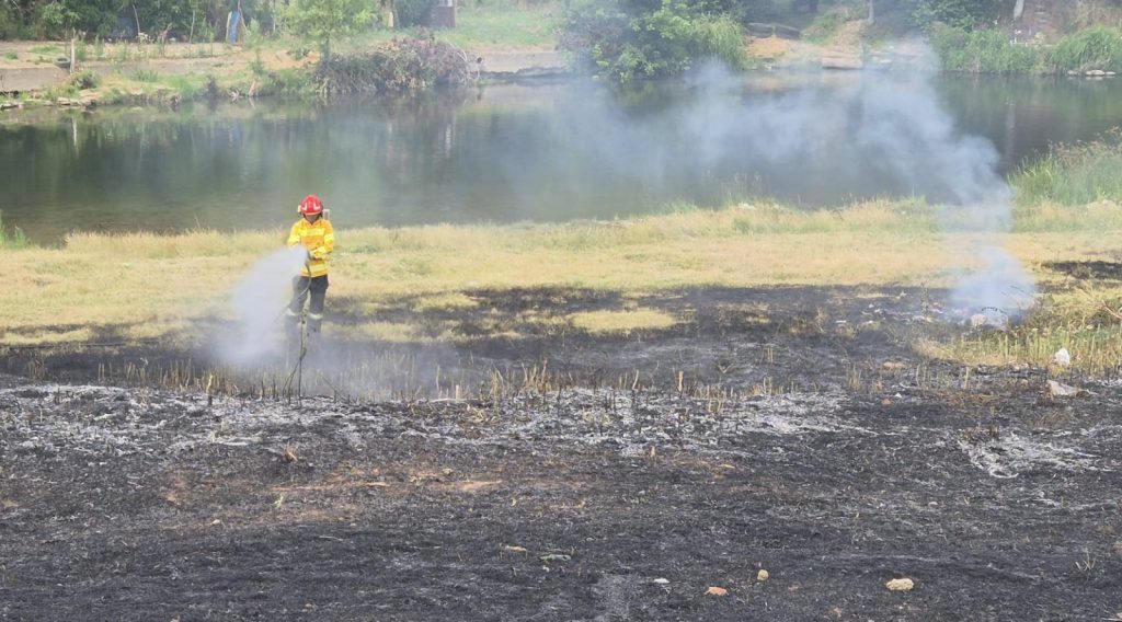 Sapte incendii in Bihor duminica dupa amiaza si seara