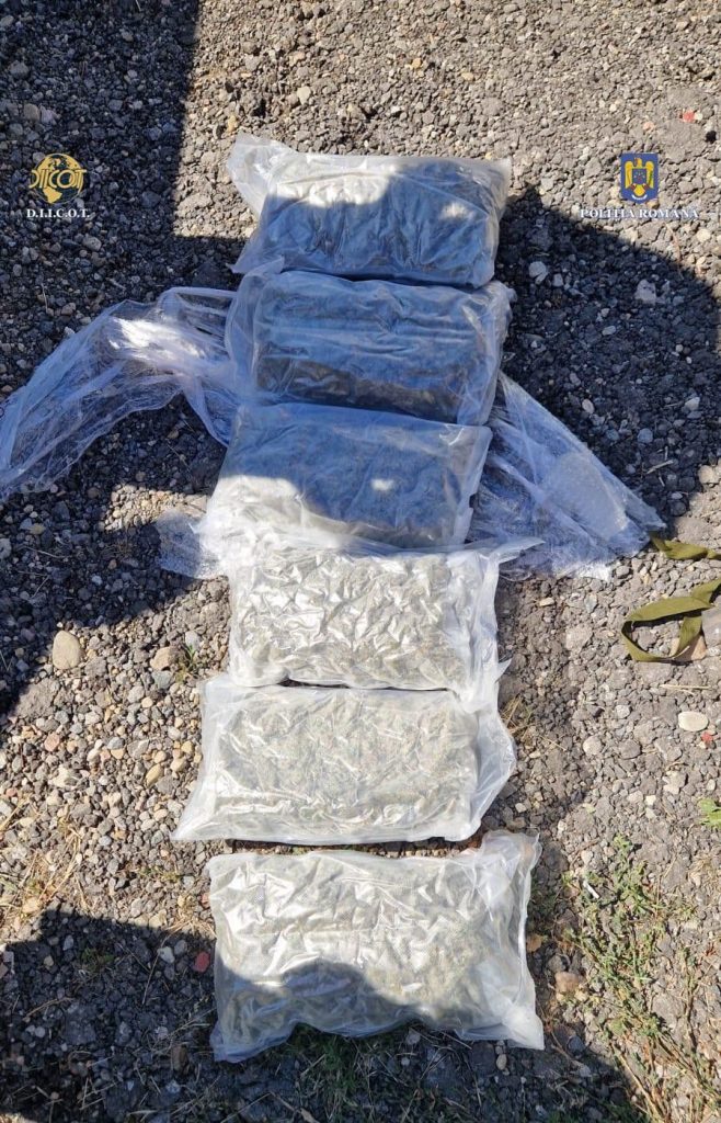 Tanar din Bihor prins cu aproape 4 kg de canabis