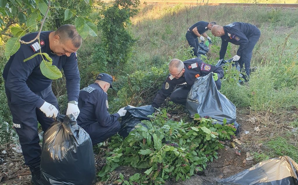Pompierii din Bihor la datorie pentru un mediu curat