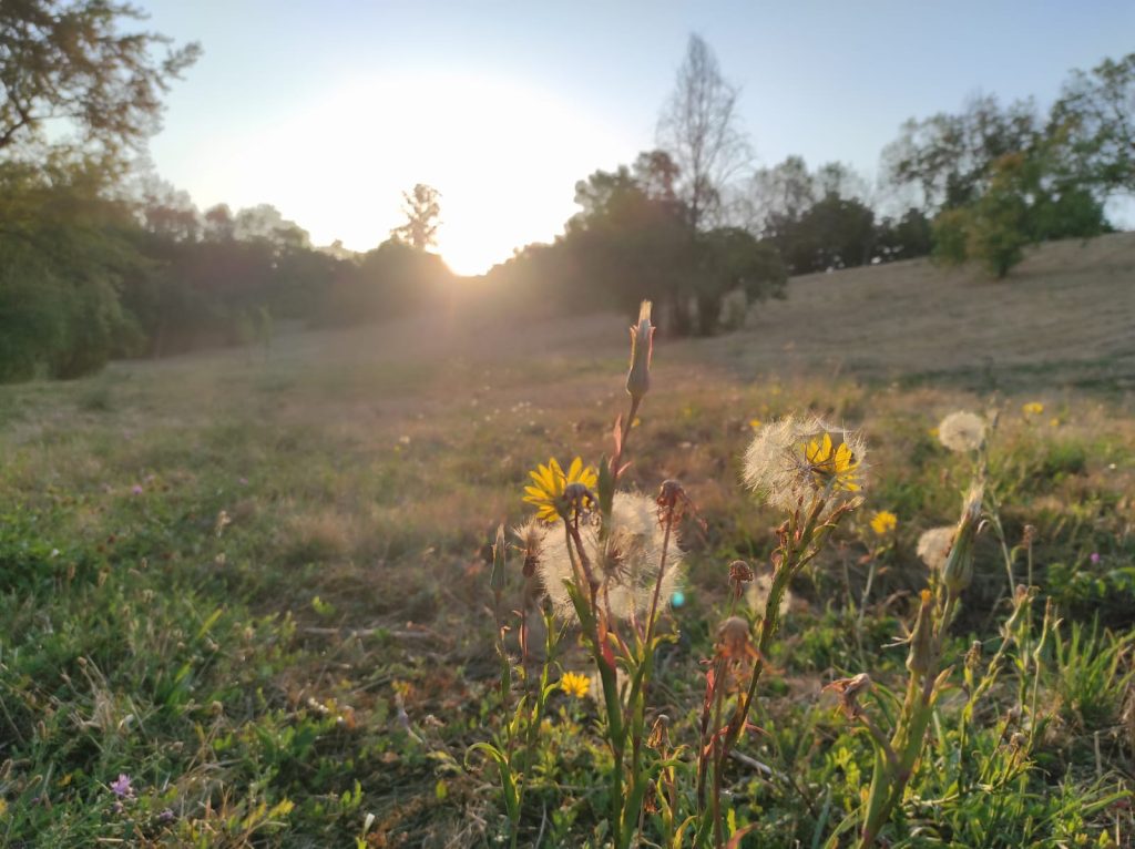 Prognoza meteo pana pe 29 septembrie