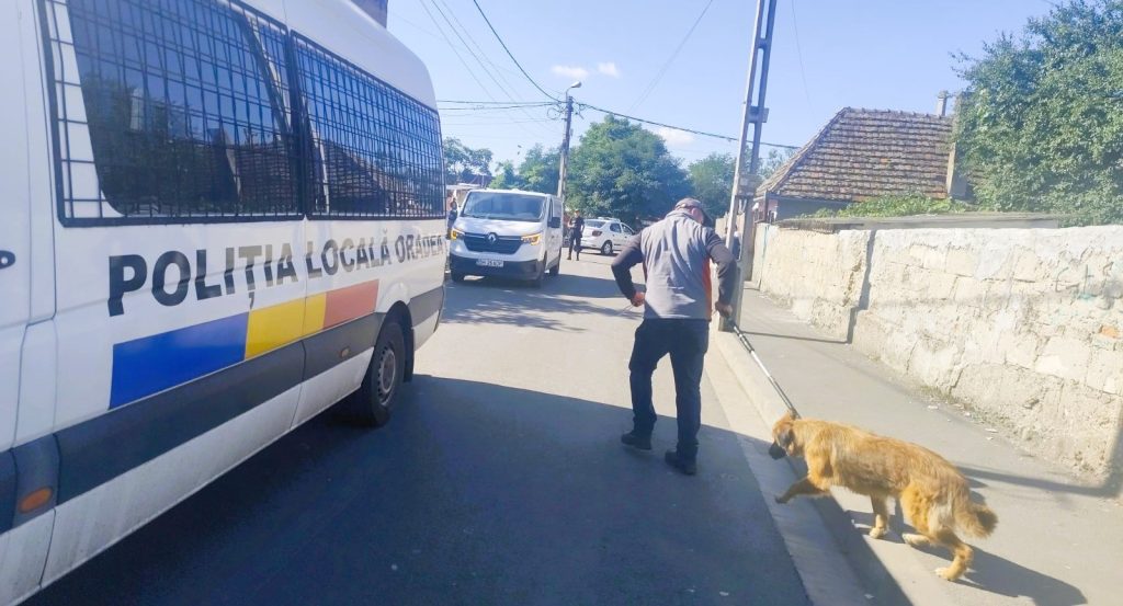 Ridicarea cainilor fara stapan in zona TZ