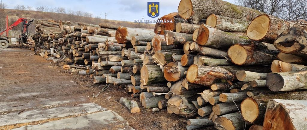 176 metri cubi lemn foc ilegal confiscati de politie
